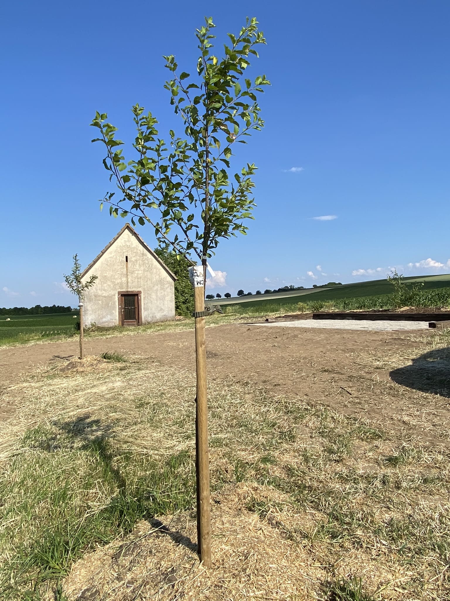Chapelle avec arbres fruitiers et terrain de pétanque